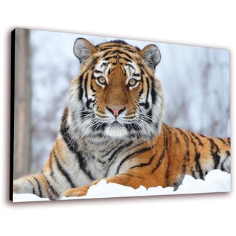 Cuadro Decorativo Tigre