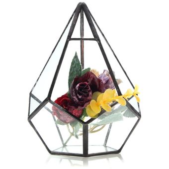 Maceta de plantas suculentas de mesa con caja de terrario geométrico de vidrio irregular 