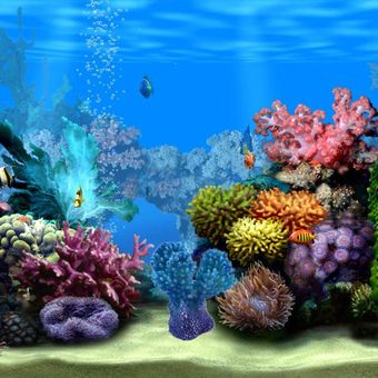 Coralino del acuario artificial para peces de agua dulce acuarios Decoración Fish Tank 