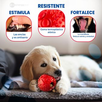 Juguetes antisarro best sale para perros