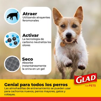 Tapete Entrenador Para Perro Grande 3 Capas Super Absorbente Fancy