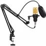 Kit Microfono Profesional NW-800 Filtro Acustico Incluye Brazo Tijera
