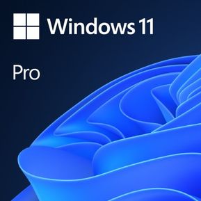 Windows 11 Pro 32/64 bit Microsoft FQC-10572 Código NO DVD...